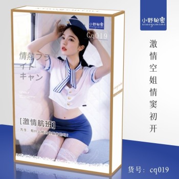 小野秘密情趣内衣女性感开档丝袜连体网衣网袜诱惑批发