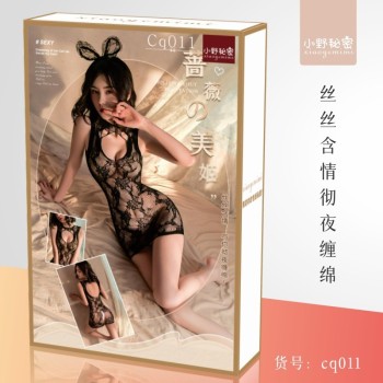 小野秘密情趣内衣女性感开档丝袜连体网衣网袜诱惑批发