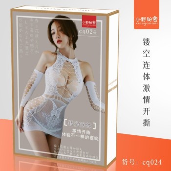 小野秘密情趣内衣女性感开档丝袜连体网衣网袜诱惑批发
