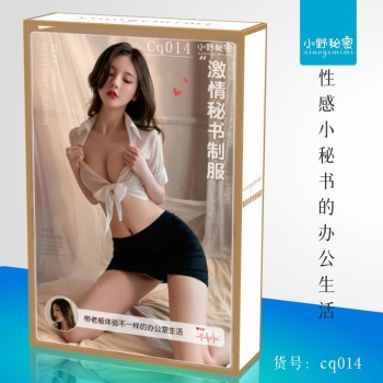 小野秘密情趣内衣女性感开档丝袜连体网衣网袜诱惑批发